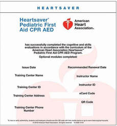 Online Courses Skills Sessions American Heart