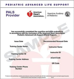 Pals Pediatric Advanced Life Support American Heart