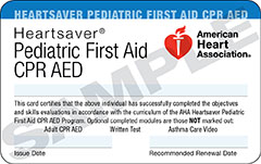 Blended Learning Heartsaver Pediatric First Aid-CPR-AED - American ...