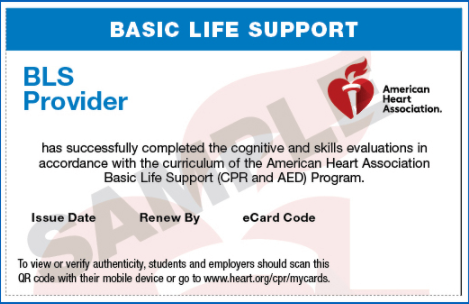 Basic Life Support Bls American Heart Association Phoenix Area Desert Education Solutions